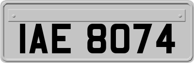 IAE8074