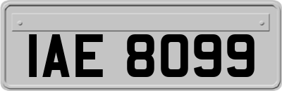 IAE8099