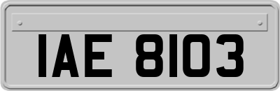 IAE8103