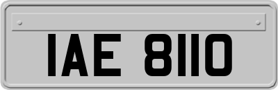 IAE8110