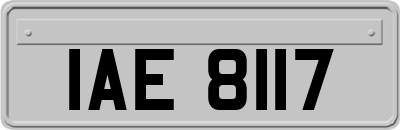 IAE8117