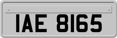 IAE8165