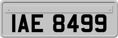IAE8499