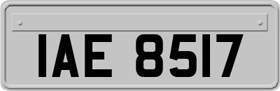 IAE8517