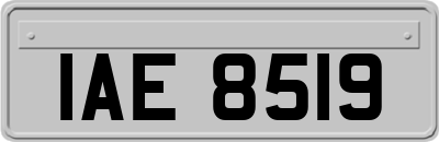 IAE8519