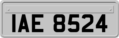 IAE8524