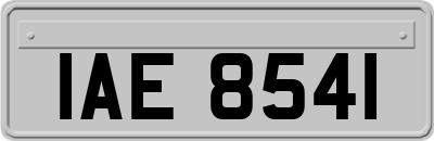 IAE8541