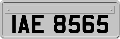 IAE8565