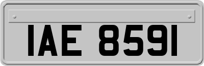 IAE8591