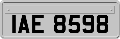 IAE8598