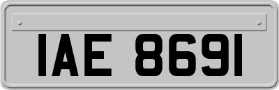 IAE8691