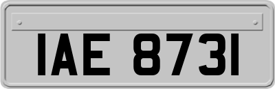 IAE8731