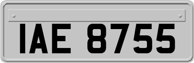 IAE8755