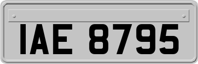 IAE8795
