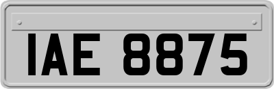 IAE8875