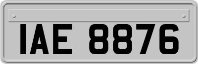 IAE8876