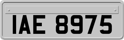IAE8975