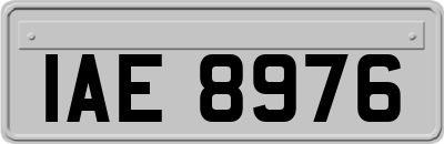 IAE8976