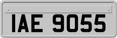 IAE9055