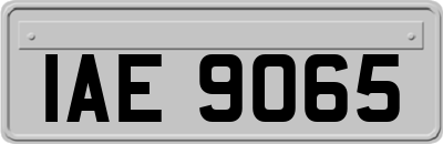 IAE9065