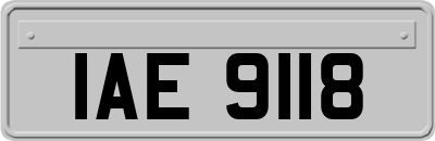 IAE9118