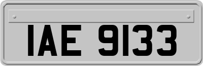 IAE9133