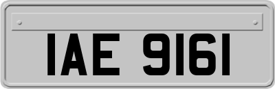 IAE9161