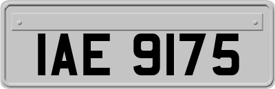 IAE9175