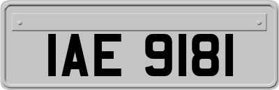 IAE9181