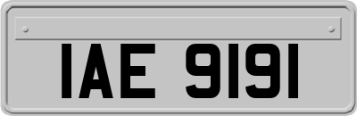 IAE9191