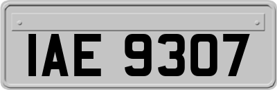 IAE9307