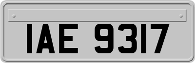 IAE9317