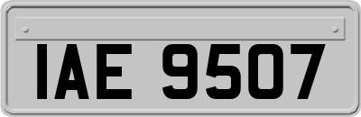 IAE9507