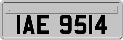 IAE9514