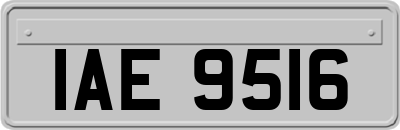 IAE9516