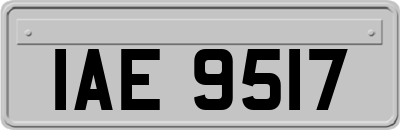 IAE9517