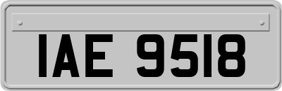 IAE9518