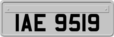 IAE9519