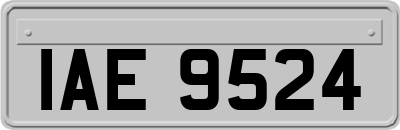 IAE9524