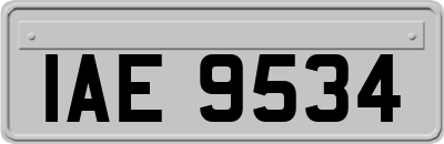 IAE9534