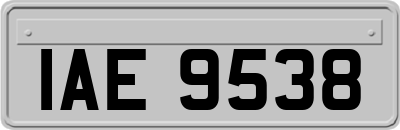 IAE9538