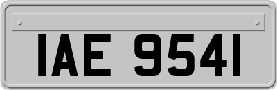 IAE9541