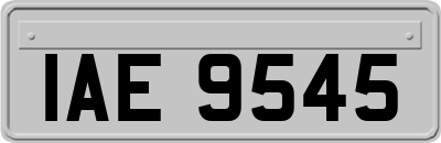 IAE9545