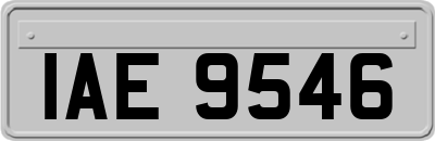IAE9546