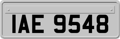 IAE9548