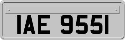 IAE9551
