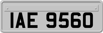 IAE9560