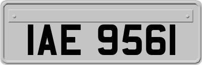 IAE9561