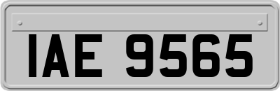 IAE9565