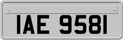IAE9581